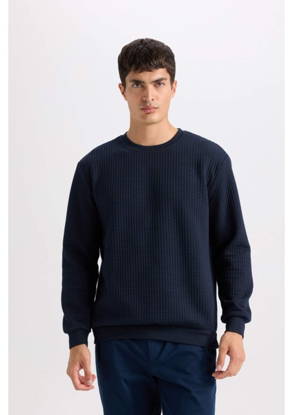 Regular Fit Bisiklet Yaka Jakarlı Sweatshirt D5392AX24AU modelleri