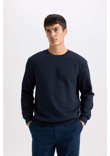Regular Fit Bisiklet Yaka Jakarlı Sweatshirt D5392AX24AU fırsatları
