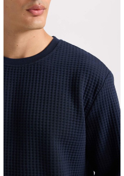 Regular Fit Bisiklet Yaka Jakarlı Sweatshirt D5392AX24AU indirimleri