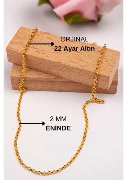 22 Ayar Kadın Doç Zincir 50 cm Altın Zincir LKZNC1092