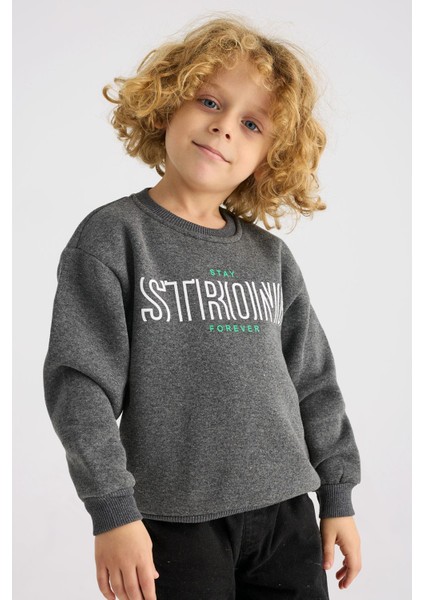 Bisiklet Yaka Uzun Kol Antrasit Renk Erkek Çocuk Sweatshirt fiyatları