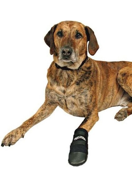 Trixie Köpek Patiği Neopren 2 Adet M Siyah - Petshopundan