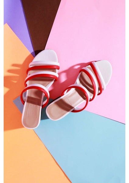 Günlük Kullanım Renklı Kadın Terlik