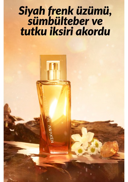 Attraction Awaken Kadın Parfüm EDP Üçlü Set 50 ml
