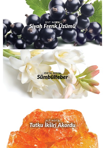 Attraction Awaken Kadın Parfüm EDP Üçlü Set 50 ml
