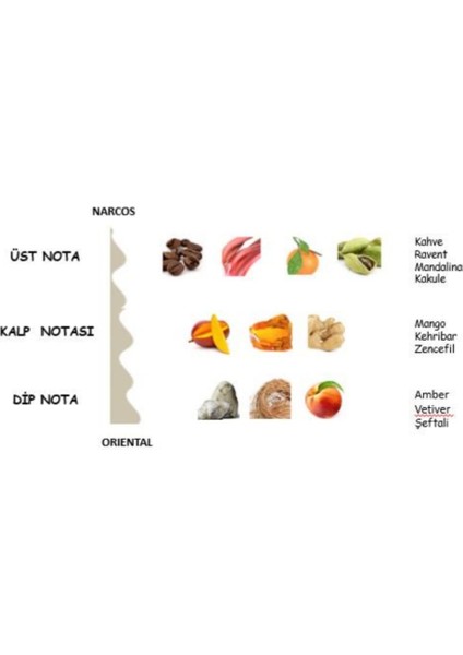Narcoss Erkek Parfüm Edp Oriental 50 Ml Mrczdnnxaxrxcxoxsx fiyatları
