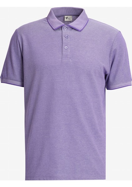 Erkek Siyah-Mavi-Mor Beyaz 3'lü Çekmeyen Pamuklu Slim Fit Dar Kesim Kıvrılmaz Polo Yaka Tişört