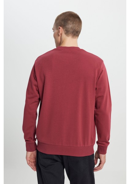 Standart Fit Normal Kesim Bisiklet Yaka Pamuklu Sweatshirt