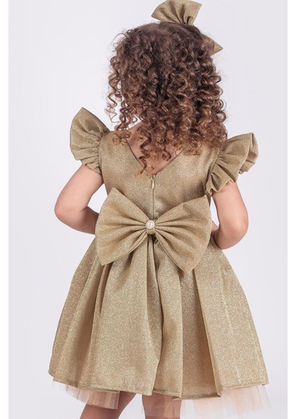 Parlak Kumaş Kız Çocuk Abiye Elbise fiyatları