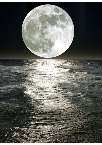 Siyah-Beyaz Ay Döngüleri Kombini |Çerçeveli Cam Tablo 3lü Dikey fırsatları