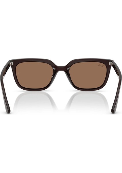RB4439D 6231/73 54 Unisex Güneş Gözlüğü modelleri