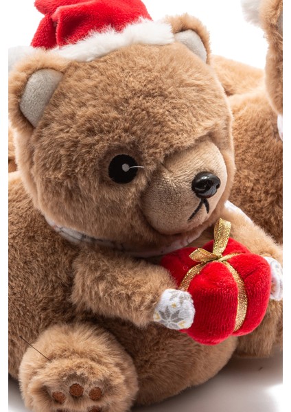 Regalo Kadın Hayvanlı Panduf Kahverengi 36/41