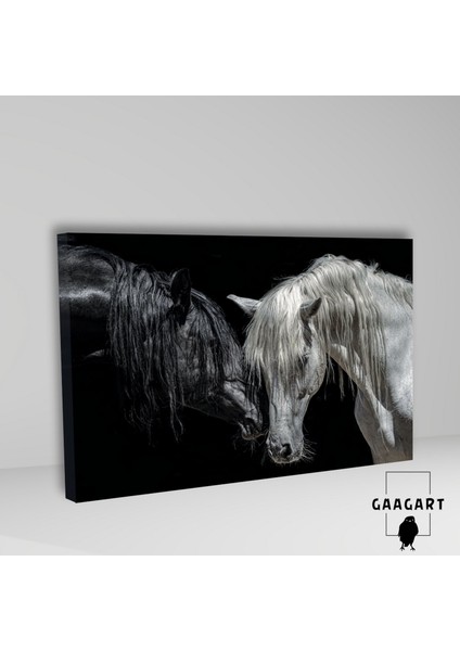 Tekli Yatay Kanvas Dekoratif Duvar Tablosu Siyah Beyaz At fiyatları