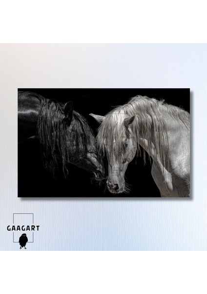 Tekli Yatay Kanvas Dekoratif Duvar Tablosu Siyah Beyaz At modelleri