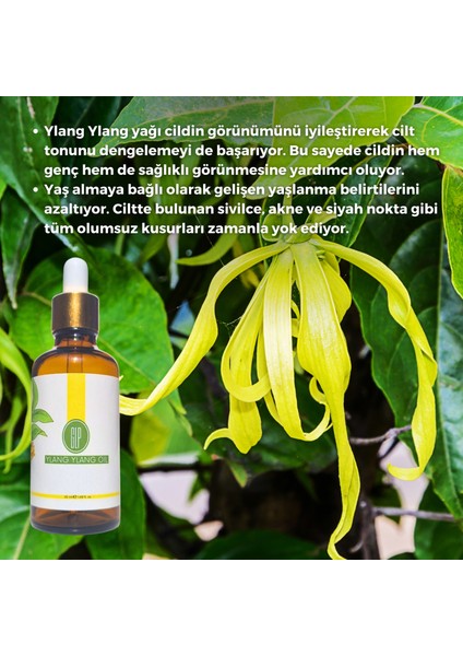 Ylang Ylang Yağı Esansı 50 ml