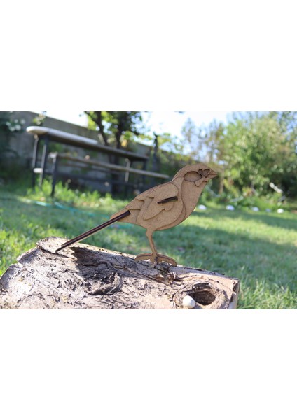 Doğal Ahşap Kuş Figürü Seti 🐦