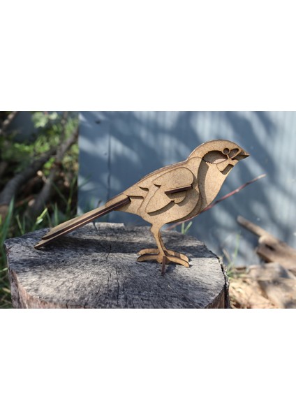 Doğal Ahşap Kuş Figürü Seti 🐦 fırsatları