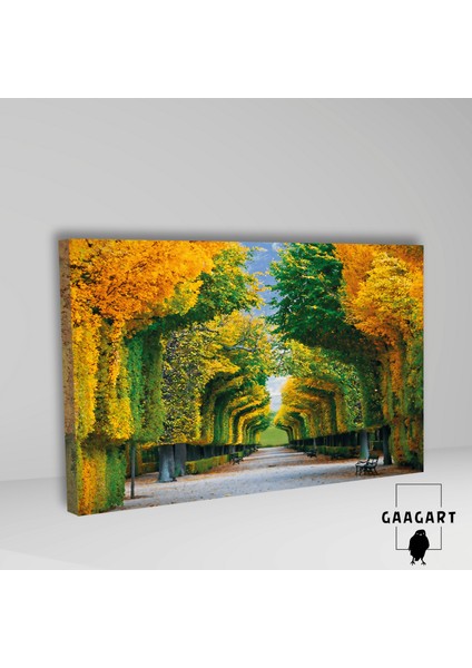 Tekli Yatay Kanvas Duvar Tablosu Renkli Ağaçlar ve Banklar fiyatları