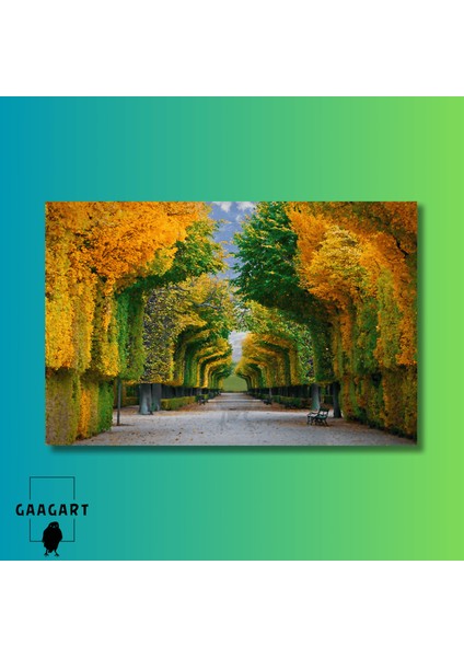 Tekli Yatay Kanvas Duvar Tablosu Renkli Ağaçlar ve Banklar modelleri