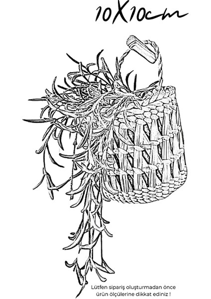 Dekoratif Çok Amaçlı Hasır Sepet Askı Sepeti Duvar Sepeti Saksı Sepet 10X10CM