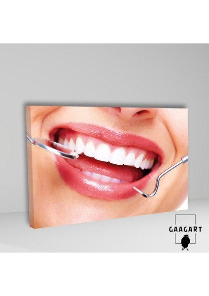 Tekli Yatay Kanvas Dişçi Duvar Tablosu Dekoratif Diş Görseli fiyatları