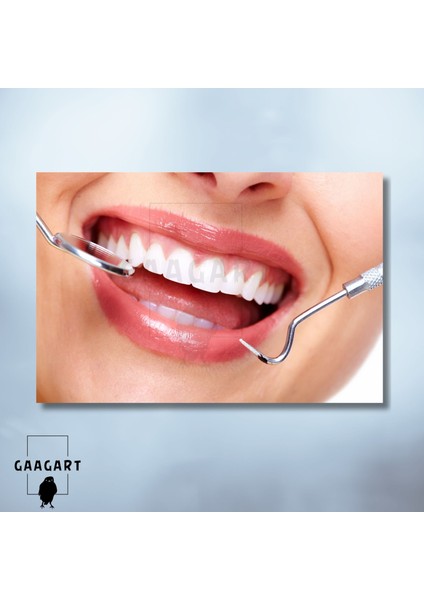 Tekli Yatay Kanvas Dişçi Duvar Tablosu Dekoratif Diş Görseli modelleri