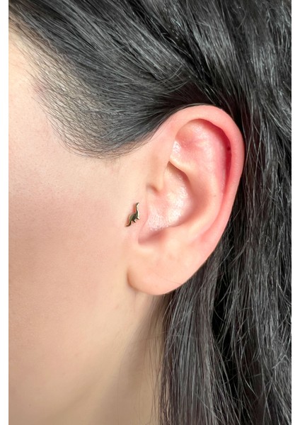 Kadın 925 Ayar Gümüş Dinazor Piercing fiyatları