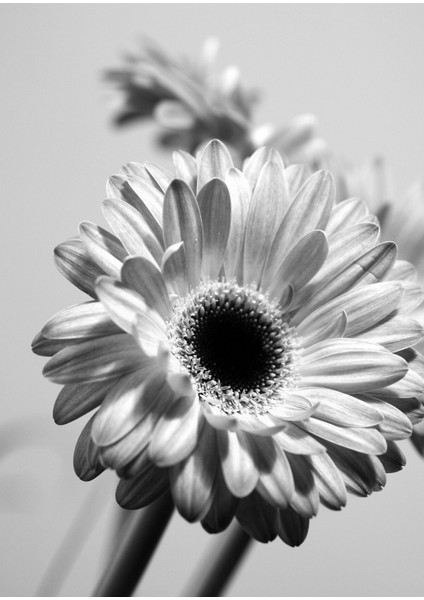 Gri-Beyaz-Gold Soyut Kombini 02 |Çerçeveli Cam Tablo 3lü Dikey fiyatları