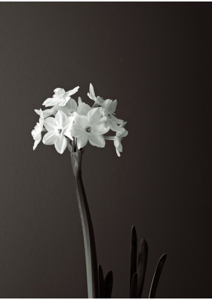 Gri-Beyaz-Gold Soyut Kombini 02 |Çerçeveli Cam Tablo 3lü Dikey modelleri