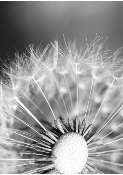 Gri-Beyaz-Gold Soyut Kombini 02 |Çerçeveli Cam Tablo 3lü Dikey fırsatları