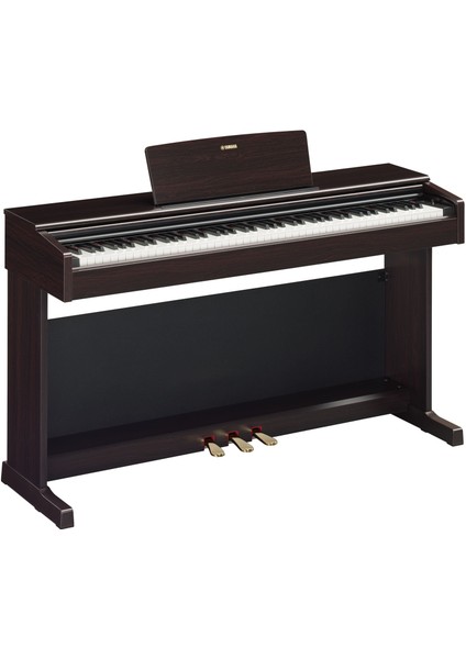 YDP145R Dijital Piyano (Gül Ağacı)