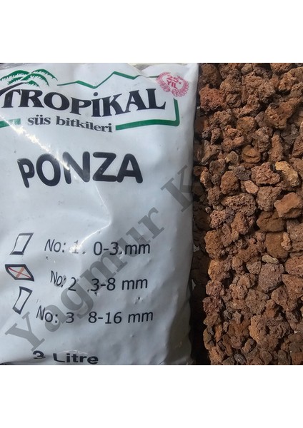 Yağmur Kaktüs Tropikal Kırmızı 3 - 8 mm 3 Lt. Ponza