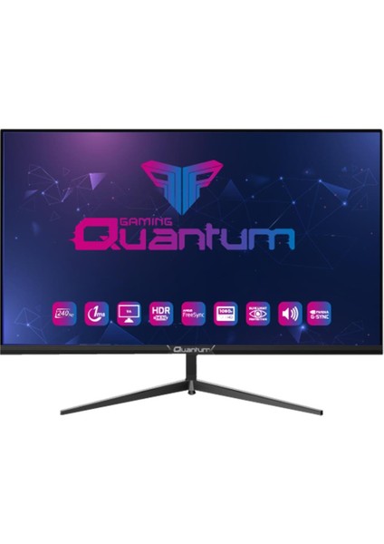 Technopc 23.8" Quantum Gaming PG24 Fhdva 1ms 300NIT 200Hz 2xhdmı 1xdp 1xspk Rgb Light Monitör