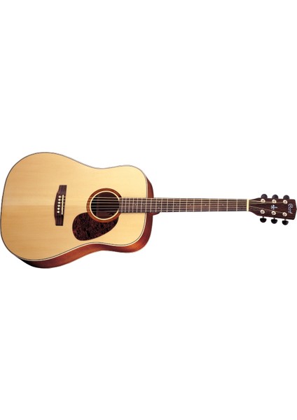EARTH100NAT Akustik Gitar