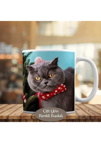 Kırmızı Papyonlu Sevimli Scottish Kedi Kupa Bardak Hediyelik-64755