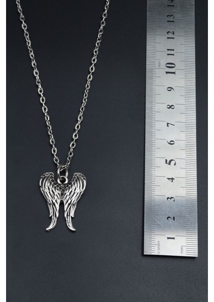 Melek Kanatlı Gümüş Kaplama Unisex Düz Zincir Kolye kod 822 fırsatları