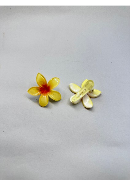Çiftli, Renkli Yandan Mandallı 4 cm Lotus Çiçeği Toka Kadın/kız/çocuk