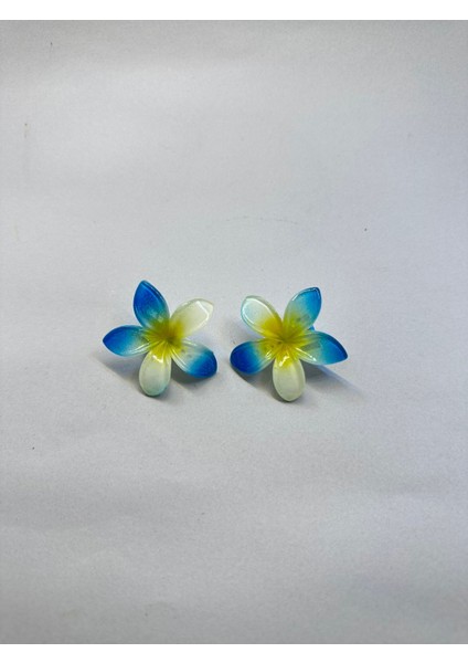 Çiftli, Renkli Yandan Mandallı 4 cm Lotus Çiçeği Toka Kadın/kız/çocuk