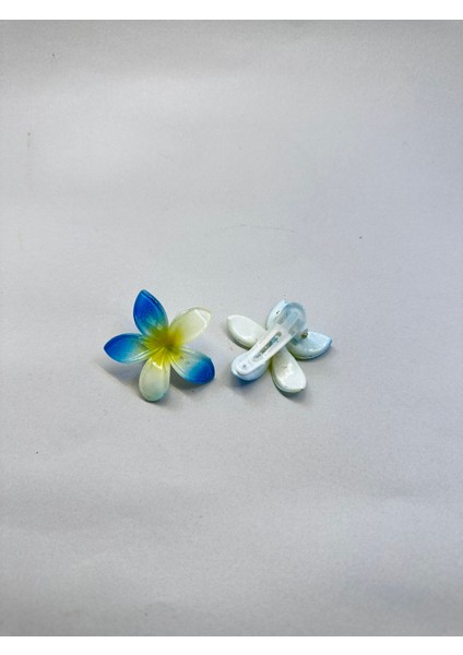 Çiftli, Renkli Yandan Mandallı 4 cm Lotus Çiçeği Toka Kadın/kız/çocuk