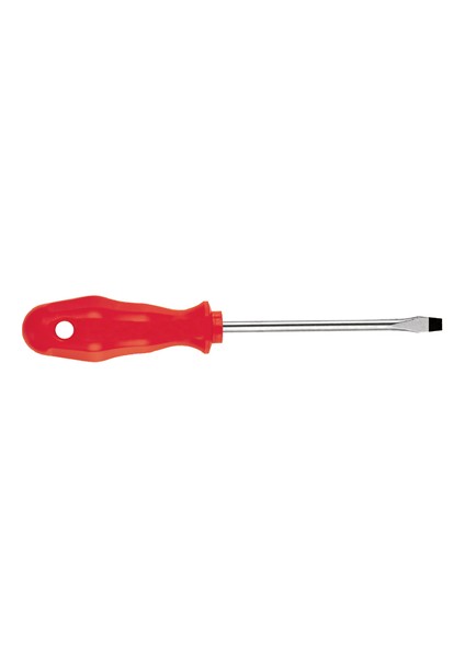Tornavida Düz 5X150