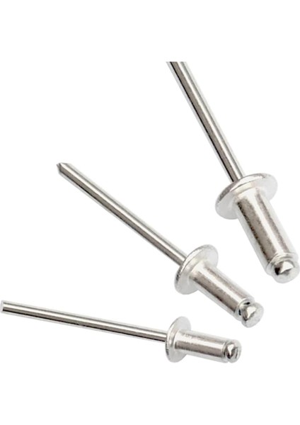 Pop Perçin 6X20 (1000 Ad.)