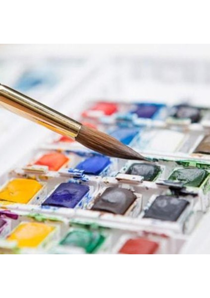 Sulu Boya Extra Kalem Fırça Stand 192 Li modelleri