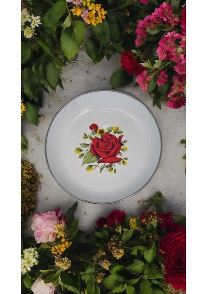 Emaye Muhallebi Yemek Kahvaltı Tabak 20 cm Desenli Kase , Çukur Tabak, Salata Tabak, Cips Tabak