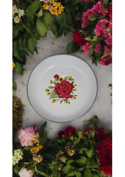 6 Lı Set Emaye Muhallebi Tabak 22 cm Desenli Yemek Kahvaltı Tabak Desenli Salata Cips Tabak Kase