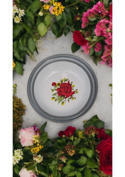 Emaye Muhallebi Yemek Kahvaltı Tabak Desenli Çukur Tabak, Salata Cips Tabak 3 Lü Set 20-22-24 cm