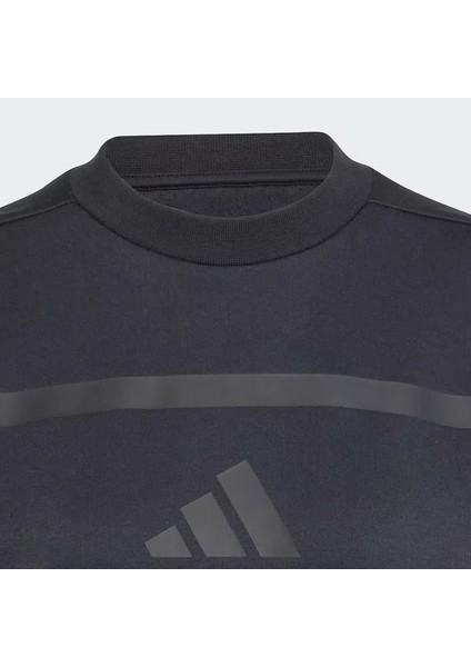 Z.n.e. Kadın Sweatshirt fırsatları