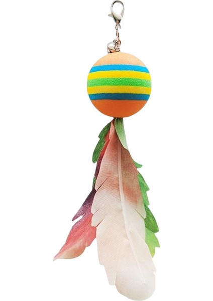 Çubuk Teaser Bell Ile Etkileş I Evcil Seçeneğş (Yurt Dışından)