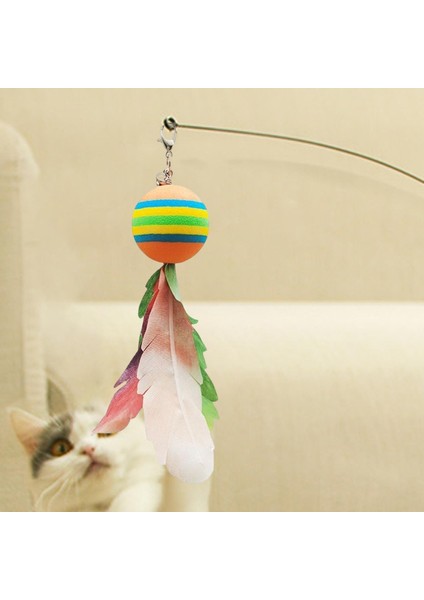 Çubuk Teaser Bell Ile Etkileş I Evcil Seçeneğş (Yurt Dışından) modelleri