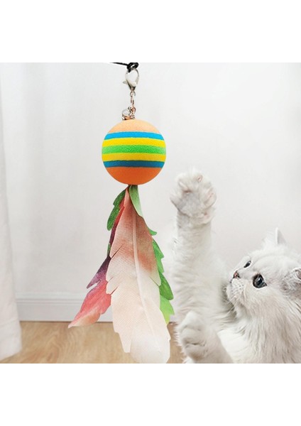 Çubuk Teaser Bell Ile Etkileş I Evcil Seçeneğş (Yurt Dışından) fırsatları