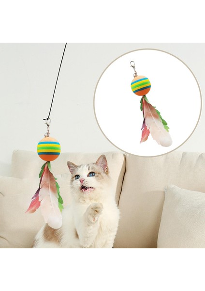 Çubuk Teaser Bell Ile Etkileş I Evcil Seçeneğş (Yurt Dışından) indirimleri